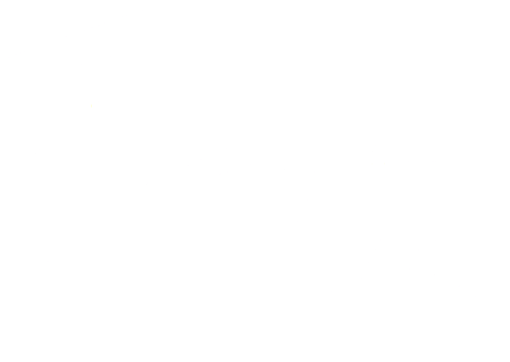Wise UAQ Logo 3 white transparent